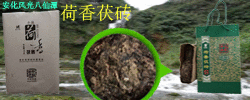文章频道页